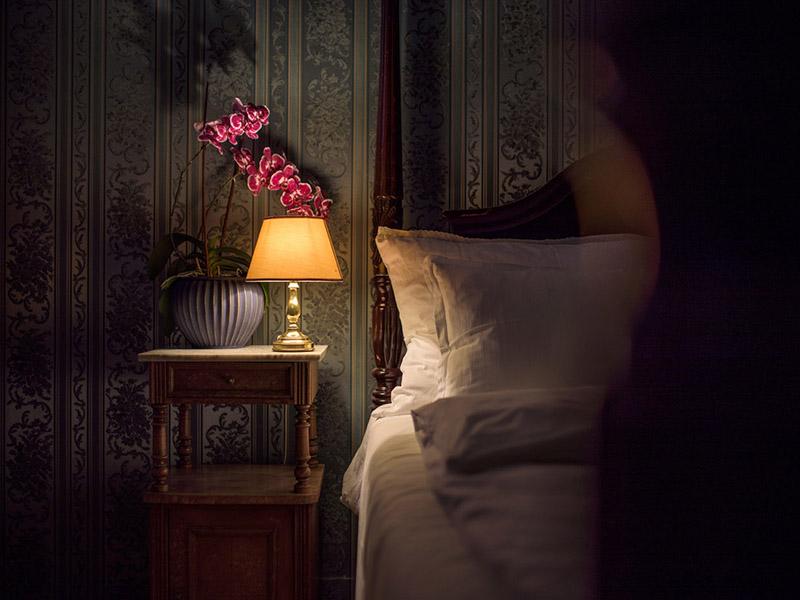 Bedside lamp, orchid and bedding in a guest room