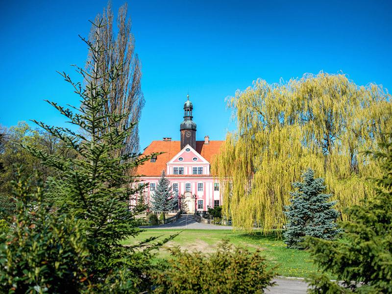 View of the palace from the park between spruces and willows