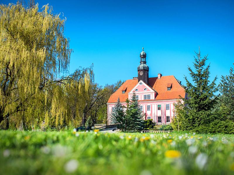 The palace among weeping willows and green lawns in spring